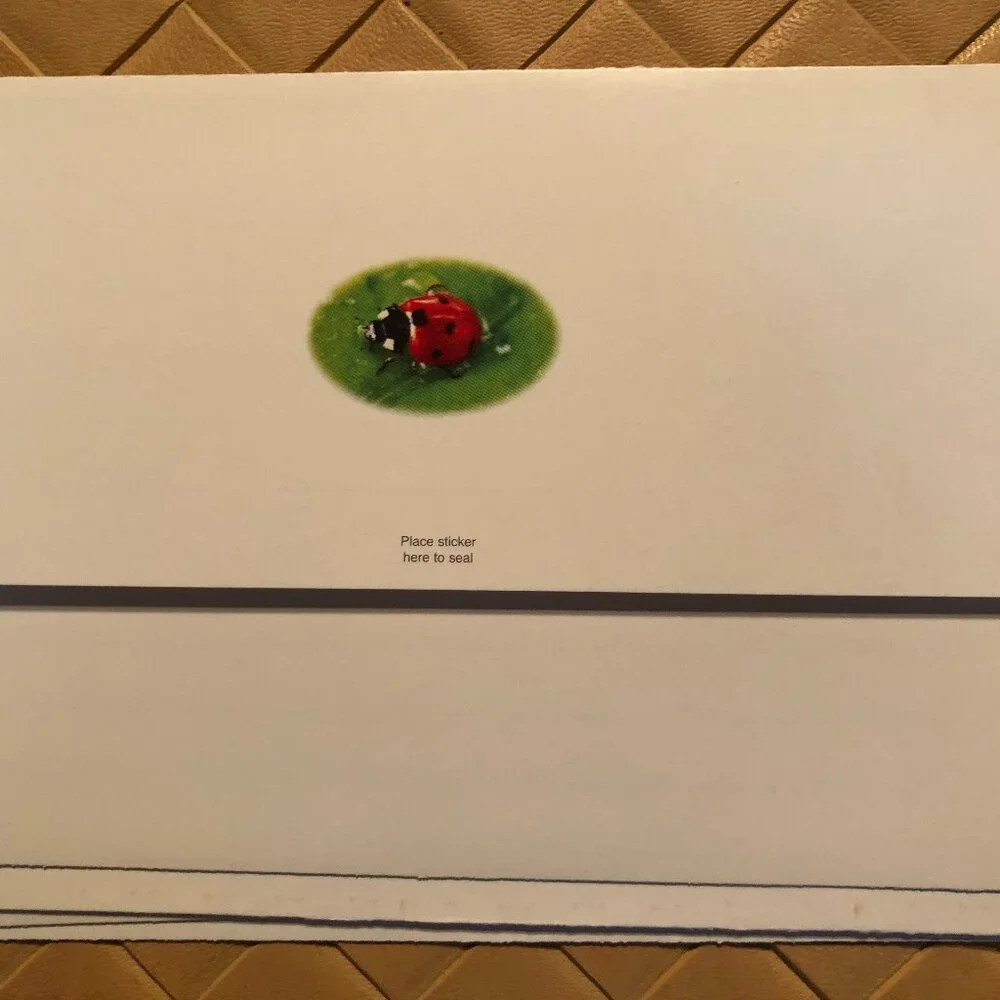 8 Blank Note Cards - Bluebirds, Ladybug and Dragonfly New